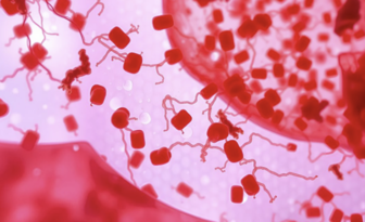 Immunologiczne przyczyny wzrostów zachorowań na krztusiec