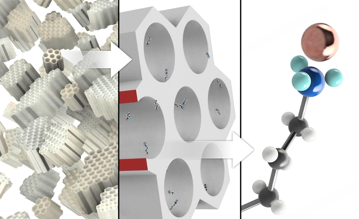 Od biobójczych powłok po leki – nanokompozytowe żądło na drobnoustroje