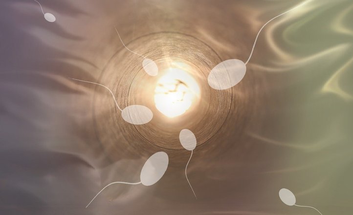 Tam, gdzie zaczyna się ciąża – do czego służy nowy model implantacji?