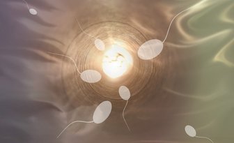 Fit bestbox thumb sciencefreak sperm 806391 1280