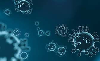 Fit bestbox thumb maffiemaffie virus 4835301 1280