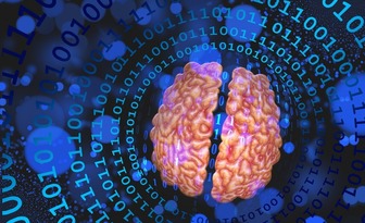 Fit bestbox thumb geralt brain 5822311 1920