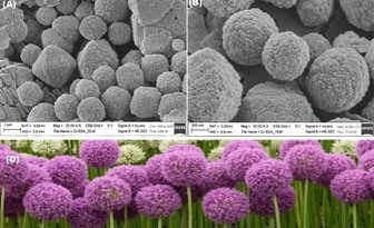 Fit bestbox thumb nano