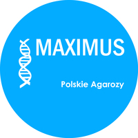 MAXIMUS – POLSKIE AGAROZY