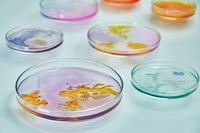 SZKOLENIE ONLINE | Badania mikrobiologiczne jako kluczowy aspekt bezpieczeństwa kosmetyków