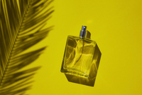 Webinar | Podstawy perfumerii