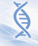 For show action zrzut ekranu 2026 04 11 062837