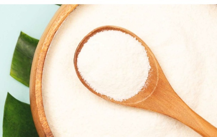  e-Kwartalnik portalu Biotechnologia.pl 1/2026