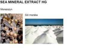 SEA MINERALS EXTRACT H.G. - SÓL MORSKA / ALGI (ekstrakt wodno-glikolowy)