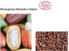 COCOA ECO - KAKAO (ekstrakt ekologiczny)