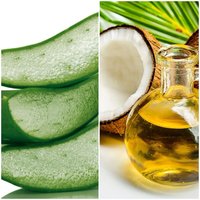 Aloe Oil Extract, Coconut