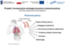 Grupa badawcza dr Sylwii Bobis-Wozowicz